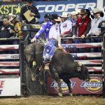PBR 2010 Las Vegas