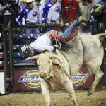 tecate-light-pbr_mg_0858_20110128_2044159825